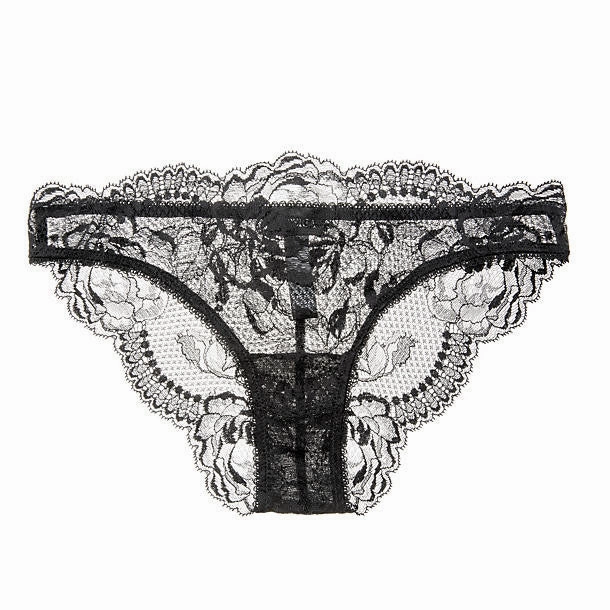 Begonia Brazilian Brief