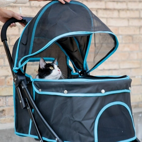 Carlson Pet Products 9050B-DS All Life Stages Pet Stroller, Black