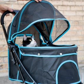 Carlson Pet Products 9050B-DS All Life Stages Pet Stroller, Black