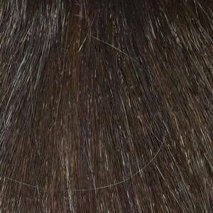 Genny Wig by Envy | Synthetic (Mono Top) | Clearance Sale