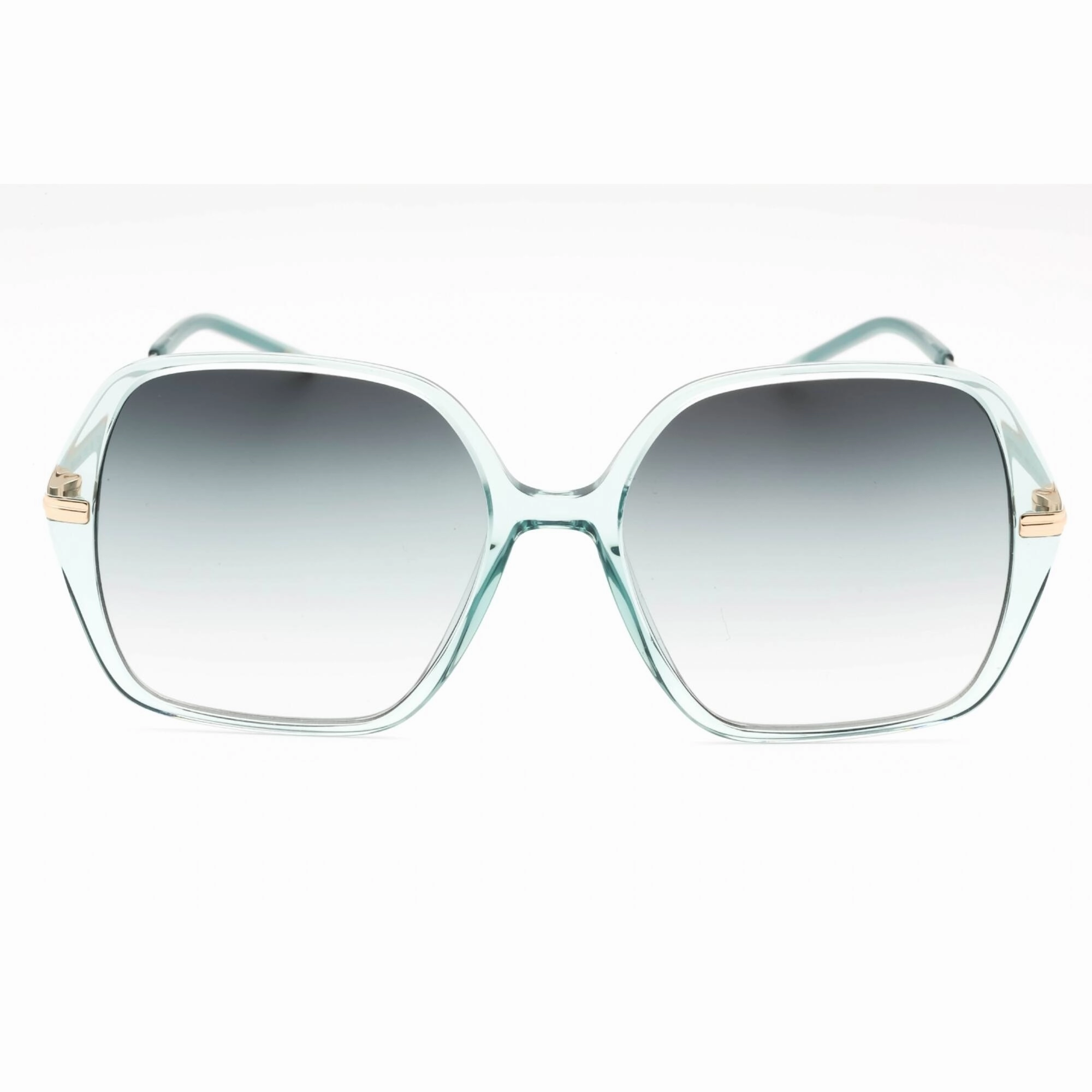 Hugo Boss Women's Sunglasses - Gold Green Oversized Full Rim | BOSS 1660/S 0PEF IB